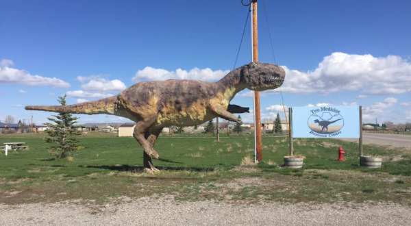 Have A Summer Adventure And Dig For Fossils At Two Medicine Dinosaur Center In Montana