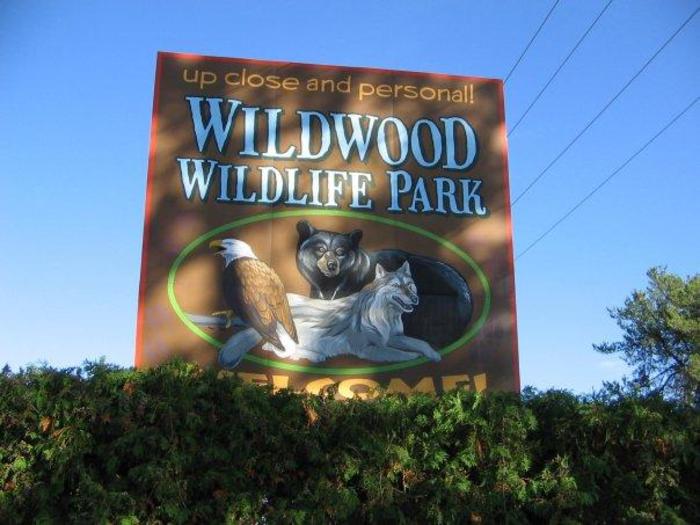 wildwood wildlife park zoo & safari about