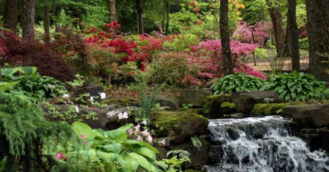 Embrace Spring With A Walk Through The Flowers At The Azalea Path Botanical Garden In Indiana