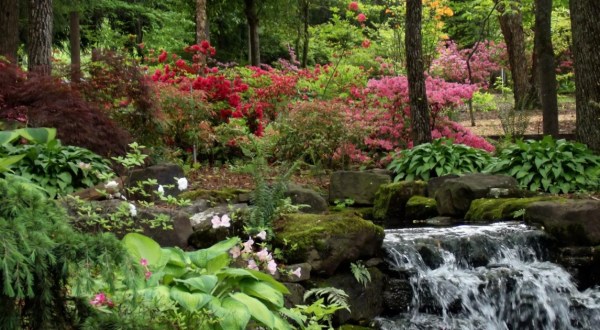 Embrace Spring With A Walk Through The Flowers At The Azalea Path Botanical Garden In Indiana