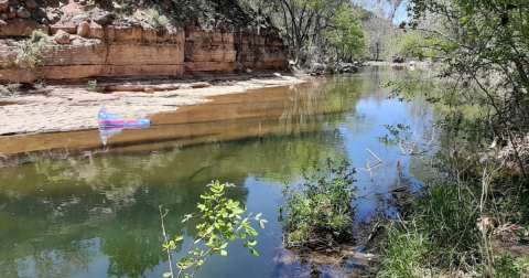 Here Are 6 Arizona Swimming Holes That Will Make Your Summer Memorable