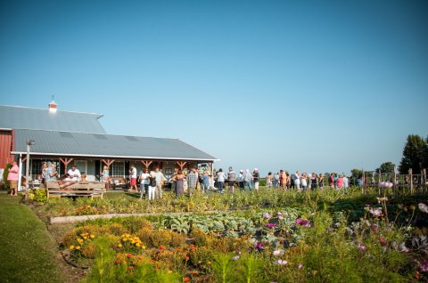 A Seasonal Outdoor Farm-To-Table Restaurant On Locavore Farm Is A Must-Dine Destination In Illinois