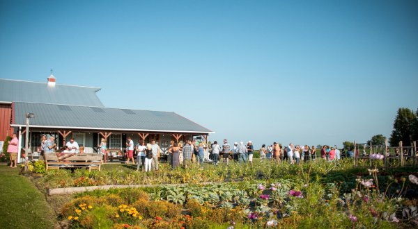 A Seasonal Outdoor Farm-To-Table Restaurant On Locavore Farm Is A Must-Dine Destination In Illinois