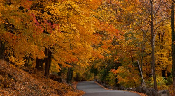 Take These 12 Country Roads In New Jersey For A Lovely Scenic Drive