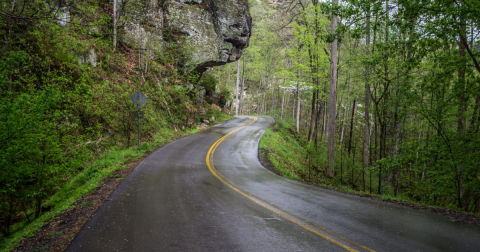 Take A Springtime Drive Through The Vibrant And Blooming Mountains Of Kentucky