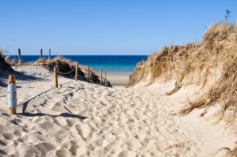 7 Pristine Hidden Beaches Throughout Massachusetts You’ve Got To Visit This Summer
