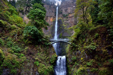 Spend The Day Exploring Oregon's Tallest Falls On This Wonderful Waterfall Road Trip