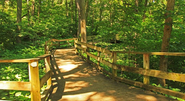 The Entire Fontenelle Forest Boardwalk Hike In Nebraska Can Now Be Taken From Your Couch