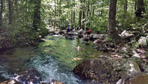 Some Of The Cleanest And Clearest Water Can Be Found At Virginia's Mountain Run Swimming Hole