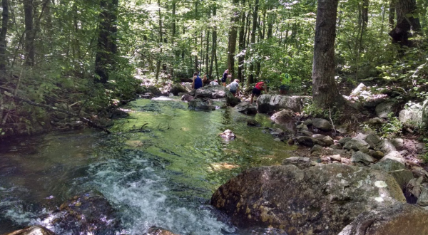 Some Of The Cleanest And Clearest Water Can Be Found At Virginia’s Mountain Run Swimming Hole