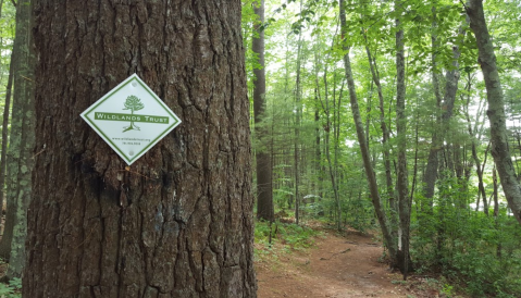 Tucker Preserve Loop In Massachusetts Is A Safe And Scenic Hike For People Of All Ages