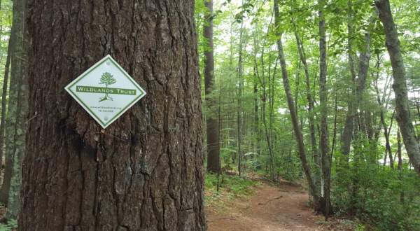 Tucker Preserve Loop In Massachusetts Is A Safe And Scenic Hike For People Of All Ages