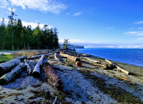 The Entire Birch Bay State Park In Washington Can Now Be Enjoyed From Your Couch