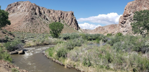 Stretch Your Legs By Following The River Through Wilson Canyon On This Nature Trail In Nevada