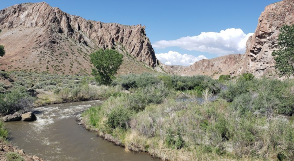 Stretch Your Legs By Following The River Through Wilson Canyon On This Nature Trail In Nevada