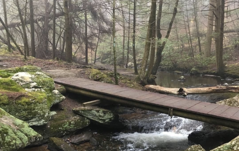 Hiking The Mattatuck Trail In Connecticut Is Like Entering A Fairytale