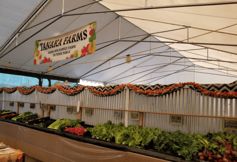 The Drive-Thru Produce Market At Tanaka Farms In Southern California That The Whole Family Will Love