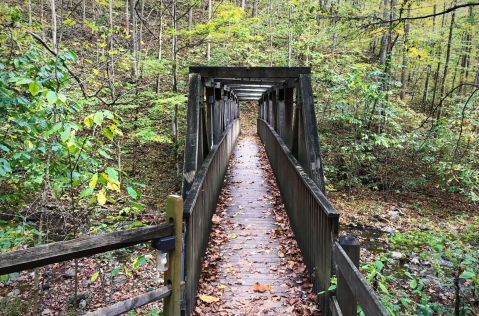 Hiking Lover's Leap Trail At Natural Tunnel State Park In Virginia Is Like Entering A Fairytale