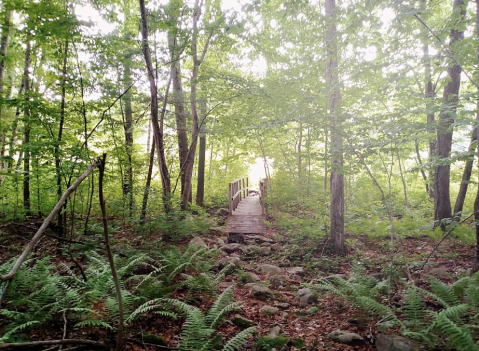 Hiking At Powder Mill Ledges In Rhode Island Is Like Entering A Fairytale