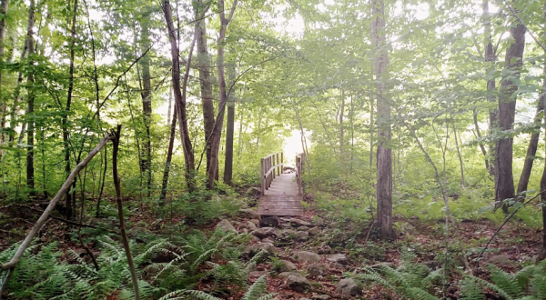 Hiking At Powder Mill Ledges In Rhode Island Is Like Entering A Fairytale