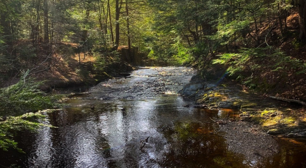 The Lush Forest Trails Through Cascade Falls In Maine Will Give You Respite From Stress