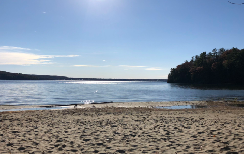 Niquette Bay State Park In Vermont Is The Oasis You've Been Searching For