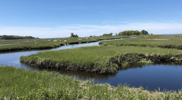 Wander Along A Gorgeous Saltwater Marsh At Barn Island Wildlife Management Area In Connecticut