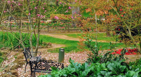 Take A Summer Stroll Through The Stunning Jensen Botanical Garden In Northern California