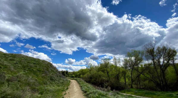 Take A Scenic Walk Through The San Timoteo Nature Sanctuary For A Picture-Perfect Day In Southern California