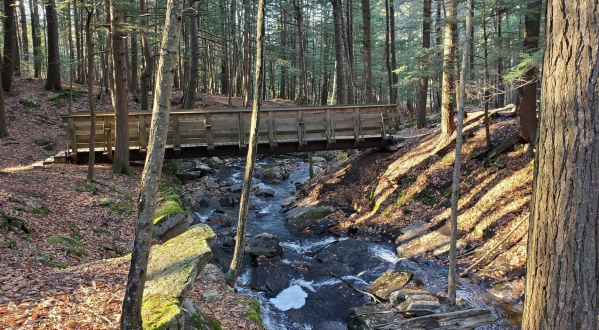 Few New Hampshirites Have Explored Chesterfield Gorge, A Hidden Natural Area Along Wilde Brook