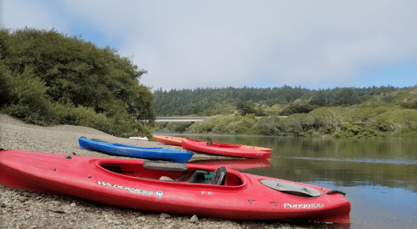Take On The Serene Gualala River In Northern California With An Easygoing Paddle Adventure