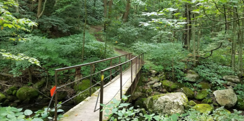 With Stream Crossings And Waterfalls, Virginia's Mill Creek Nature Park Is Like Something From A Fairytale