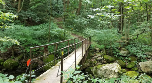 With Stream Crossings And Waterfalls, Virginia’s Mill Creek Nature Park Is Like Something From A Fairytale