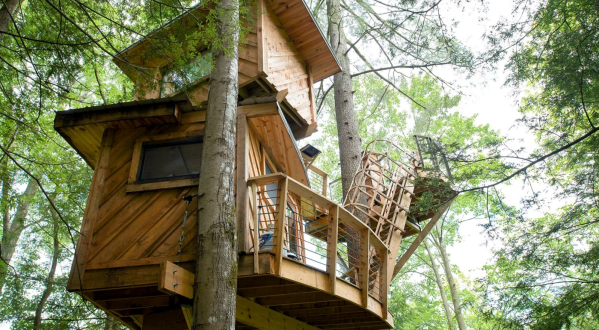 Sleep Underneath The Forest Canopy At The Observatory Treehouse In Kentucky