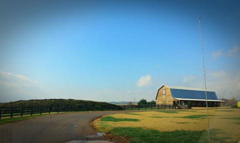 Get Fresh-Made Cheese Straight From The Farm At Sweetwater Valley Farm In East Tennessee