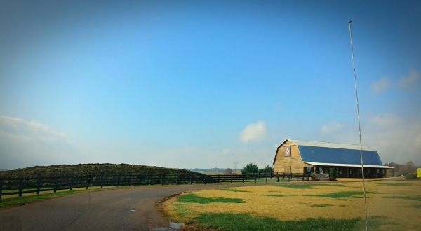 Get Fresh-Made Cheese Straight From The Farm At Sweetwater Valley Farm In East Tennessee