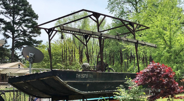 Take A Tour Of The Tennessee River Freshwater Pearl Farm Right Here In Tennessee