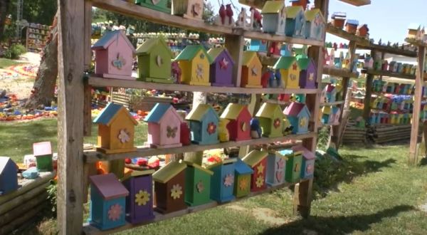 Explore The Bright And Colorful World Of Birdhouse Paradise In Indiana