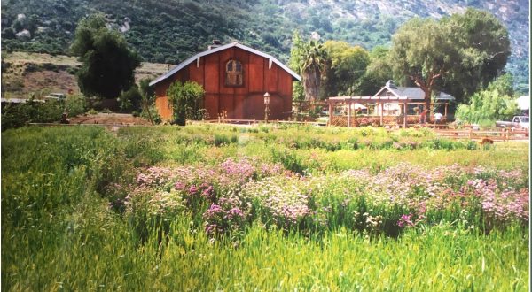 The Old Farm In Southern California That’s A Coffee Shop, Gift Shop, and Plant Nursery All In One