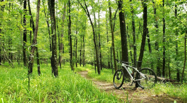 Take This Biking Trail Suited For All Skill Levels That Covers 20 Miles Of Gorgeous Arkansas Forest