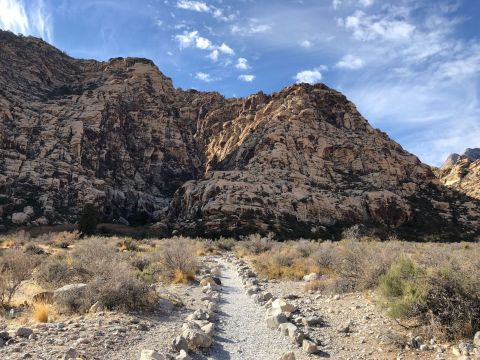 Ranked One Of The Best Kid-Friendly Hikes In Nevada, Have Fun Exploring This Waterfall Trail In Red Rock Canyon