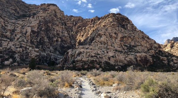 Ranked One Of The Best Kid-Friendly Hikes In Nevada, Have Fun Exploring This Waterfall Trail In Red Rock Canyon