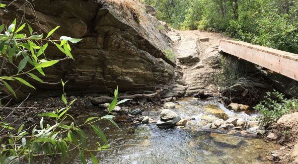 Hike The Holbrook Canyon Trail In Utah To Enjoy A Babbling Brook, Wildflowers, And Canyon Views