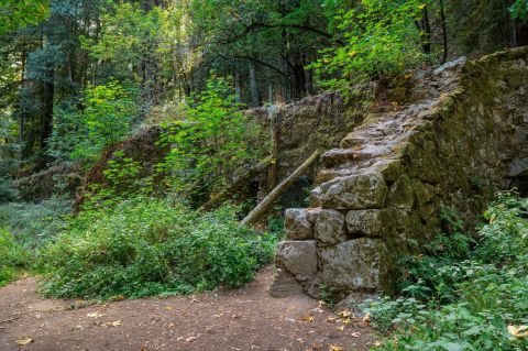Abandoned 19th-Century Limestone Kilns Wait For You At The End Of This Lush Forest Hike In Northern California