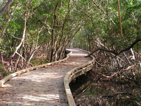 Hiking At Robinson’s Nature Preserve In Florida Is Like Entering A Fairytale