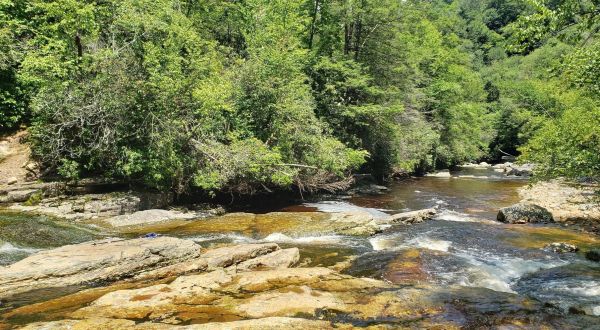 Experience The Best Of Wild, Wonderful West Virginia At Otter Creek Wilderness