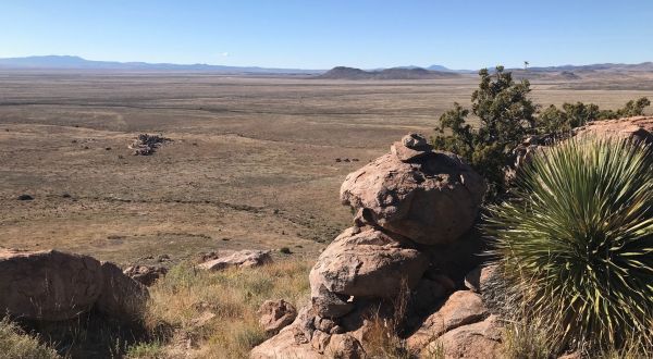 Explore Over 8 Miles Of Hiking Trails At City Of Rocks State Park in New Mexico