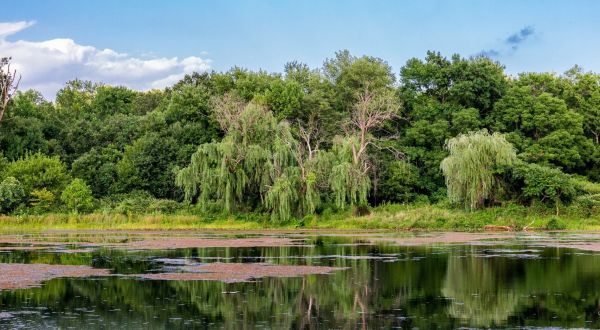 Enjoy An Easy And Peaceful Walk Around Lake Artemesia In Maryland