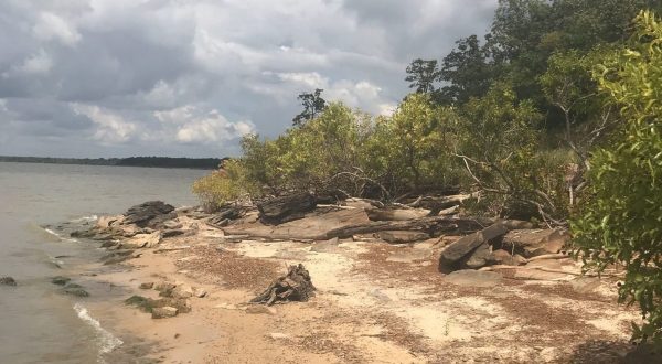 Explore Over 10 Miles Of Hiking Trails At Lake Eufaula State Park In Oklahoma