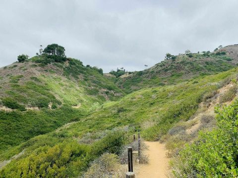 Take An Easy Loop Trail To Enter Another World At Forrestal Preserve In Southern California